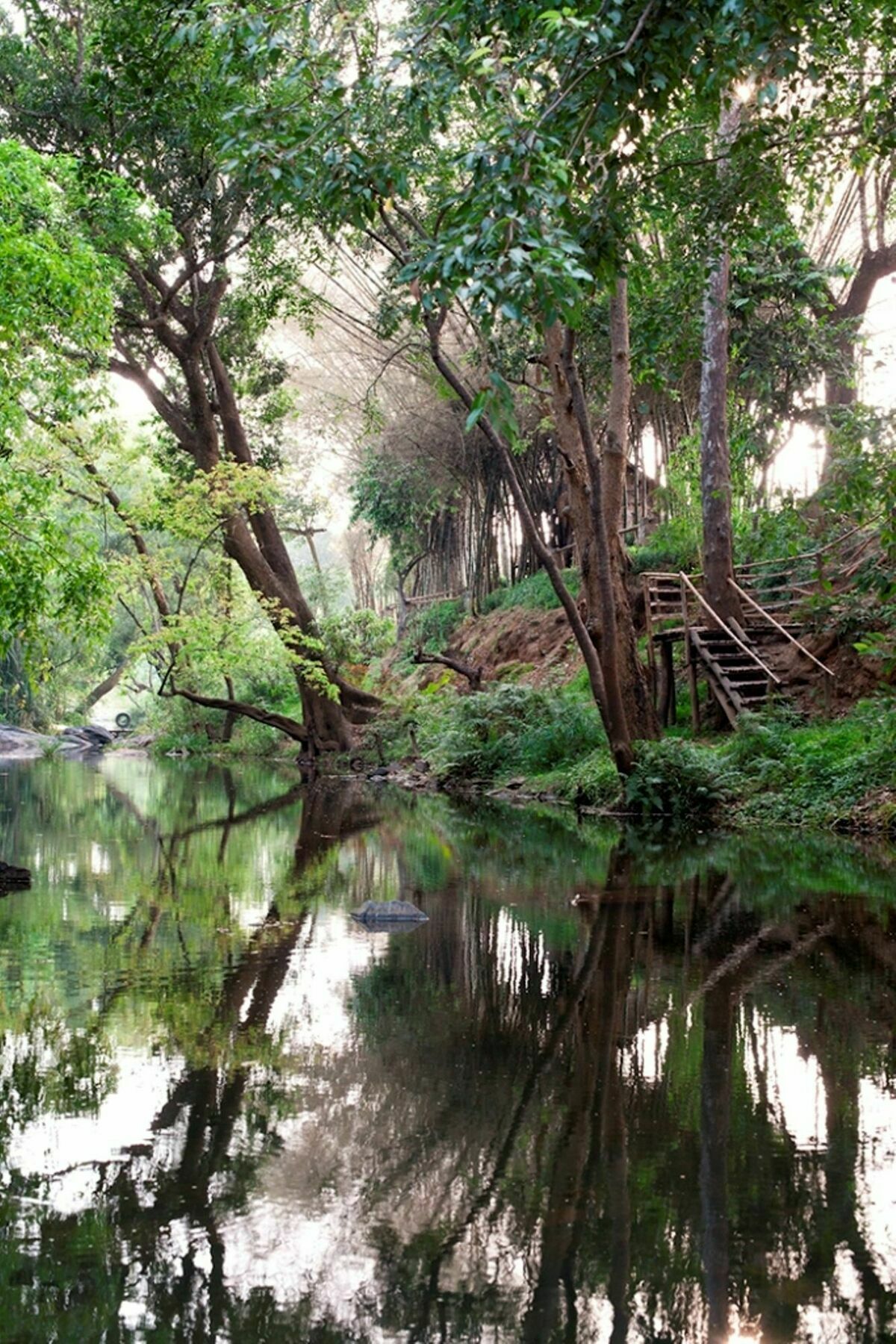 Amanvana Spa Resort, Coorg Kushālnagar Екстериор снимка